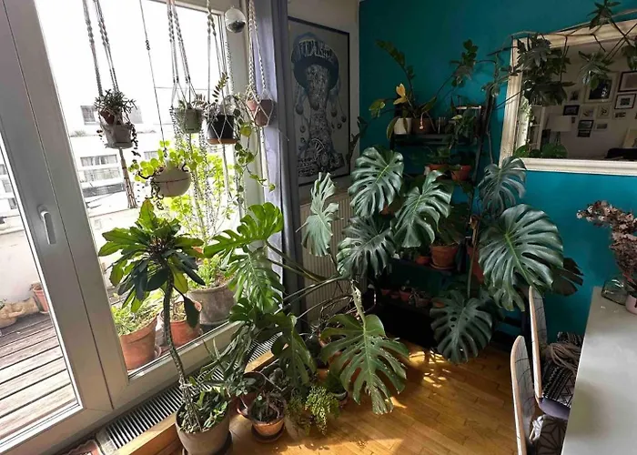Privatunterkunft In Rooftop Wien